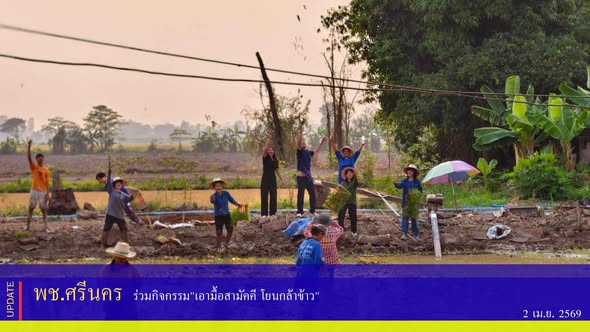 พช.ศรีนคร ร่วมกิจกรรม"เอามื้อสามัคคี โยนกล้าข้าว"